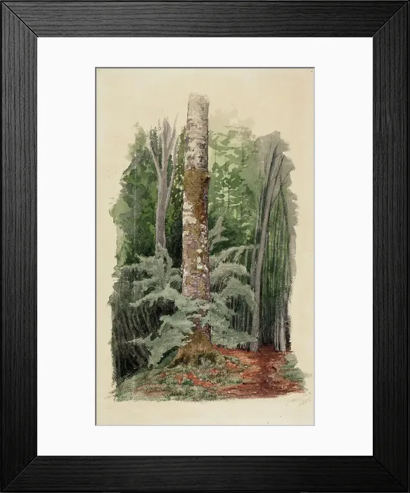 Framed Print : Forest interior, in the middle is the trunk of a hardwood tree, 1856. Creator: Werner Holmberg Framed Print : Forest interior, in the middle is the trunk of a hardwood tree, 1856. Creator: Werner Holmberg
