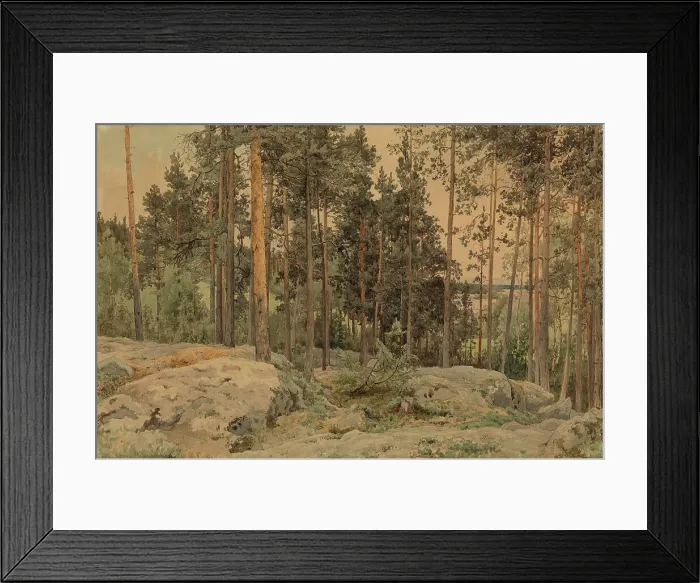 Framed Print : A pine tree near the lake shore, 1857. Creator: Werner Holmberg Framed Print : A pine tree near the lake shore, 1857. Creator: Werner Holmberg