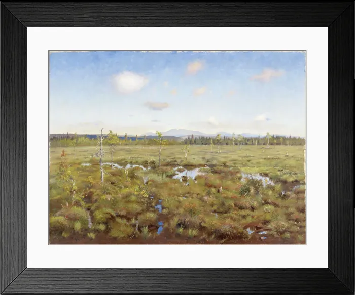 Framed Print : Landscape from Lapland, 1892. Creator: Torsten Wasastjerna Framed Print : Landscape from Lapland, 1892. Creator: Torsten Wasastjerna