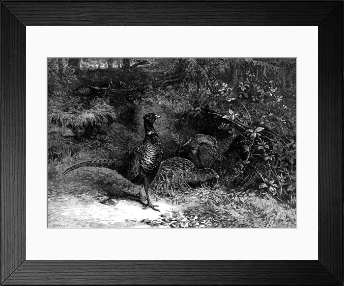 Framed Print : The Months: October, 1871. Creator: Horace Harral Framed Print : The Months: October, 1871. Creator: Horace Harral