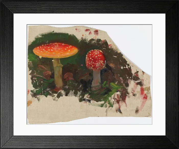 Framed Print : Two Fly Agarics, sketch for the painting Fairy Tale Princess, c1895-1896. Creator: Torsten Wasastjerna Framed Print : Two Fly Agarics, sketch for the painting Fairy Tale Princess, c1895-1896. Creator: Torsten Wasastjerna
