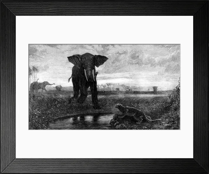 Framed Print : The Indian Desert, by Decamps, 1871. Creator: J Greenaway Framed Print : The Indian Desert, by Decamps, 1871. Creator: J Greenaway
