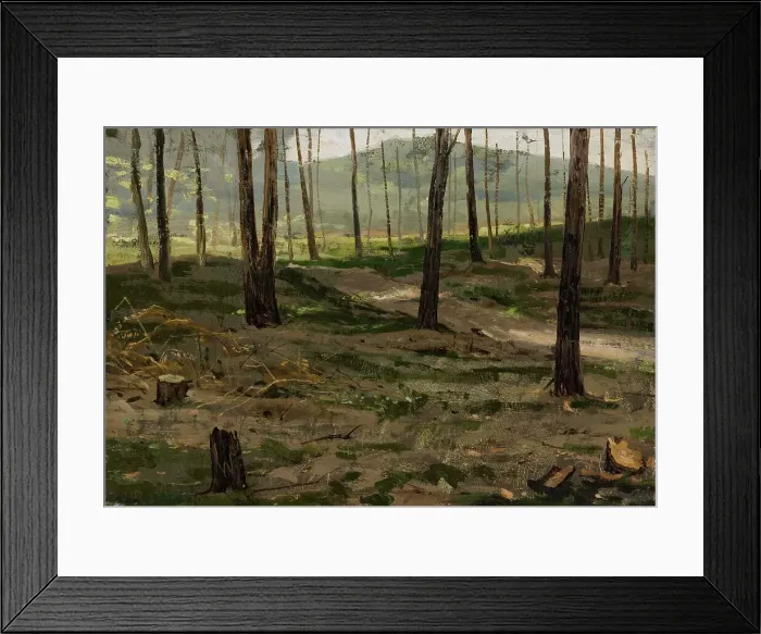 Framed Print : Landscape from Rath, 1880. Creator: Victor Westerholm Framed Print : Landscape from Rath, 1880. Creator: Victor Westerholm