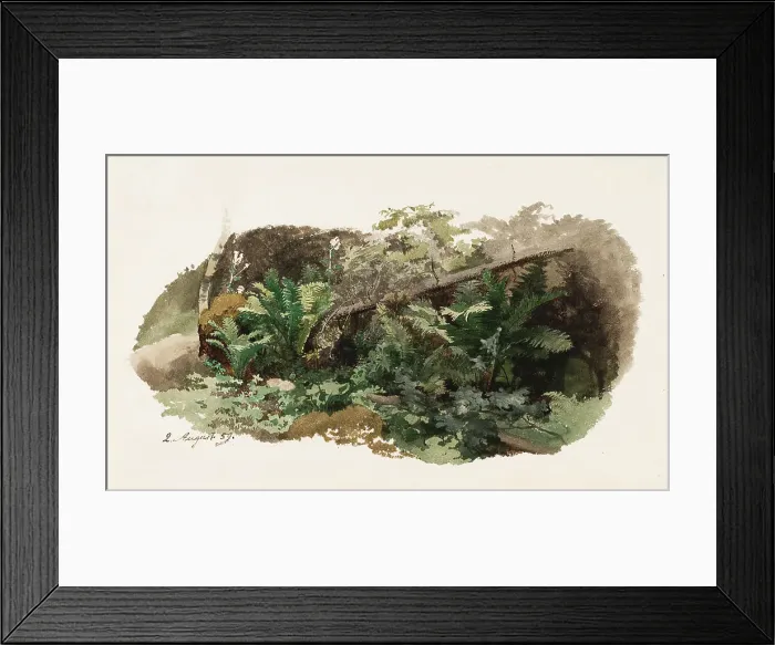 Framed Print : Spruce fallen on ferns; Cow (two-sided work), 1859. Creator: Werner Holmberg Framed Print : Spruce fallen on ferns; Cow (two-sided work), 1859. Creator: Werner Holmberg