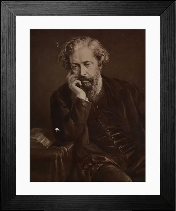Framed Print : Dawson, 1874. Creator: Unknown Framed Print : Dawson, 1874. Creator: Unknown