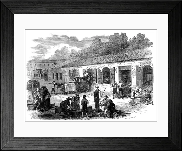 Framed Print : The Vintage of Medoc: the cuvier at Chateau Lafitte, 1871. Creator: Unknown Framed Print : The Vintage of Medoc: the cuvier at Chateau Lafitte, 1871. Creator: Unknown
