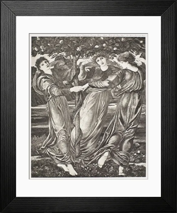Framed Print : The Garden of the Hesperides, c1860s, (1900). Creator: Unknown Framed Print : The Garden of the Hesperides, c1860s, (1900). Creator: Unknown