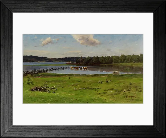 Framed Print : Shore Landscape from Aland, 1888. Creator: Elias Muukka Framed Print : Shore Landscape from Aland, 1888. Creator: Elias Muukka