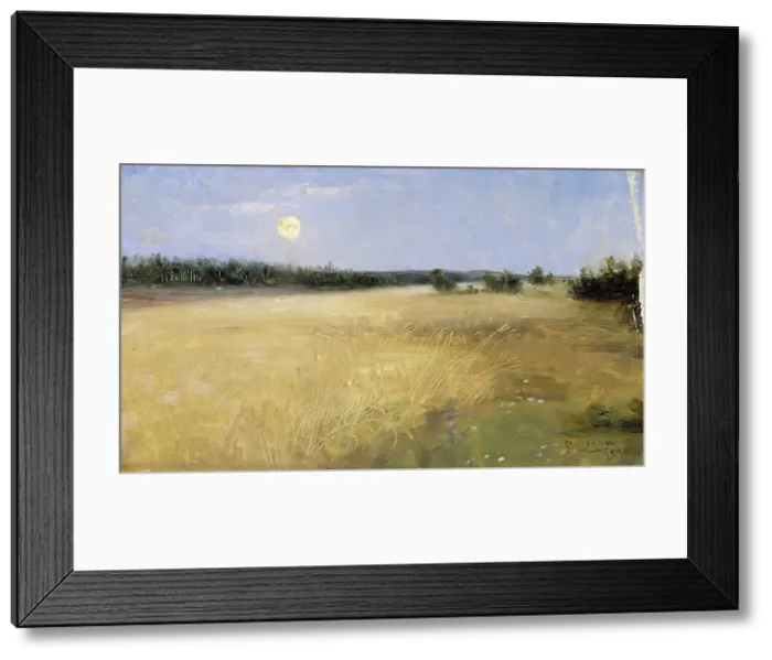 Framed Print : Summer Night, 1890. Creator: Elin Danielson-Gambogi Framed Print : Summer Night, 1890. Creator: Elin Danielson-Gambogi