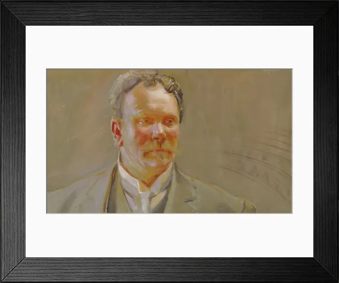 Framed Print : Portrait of Professor E.N.Setälä, 1911. Creator: Akseli Gallen-Kallela Framed Print : Portrait of Professor E.N.Setälä, 1911. Creator: Akseli Gallen-Kallela