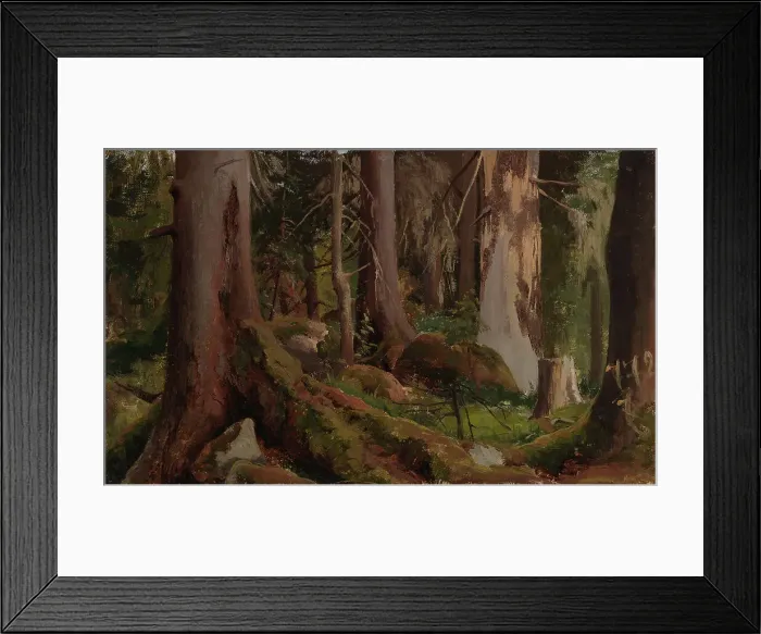 Framed Print : Forest, study, 1872. Creator: Fanny Churberg Framed Print : Forest, study, 1872. Creator: Fanny Churberg
