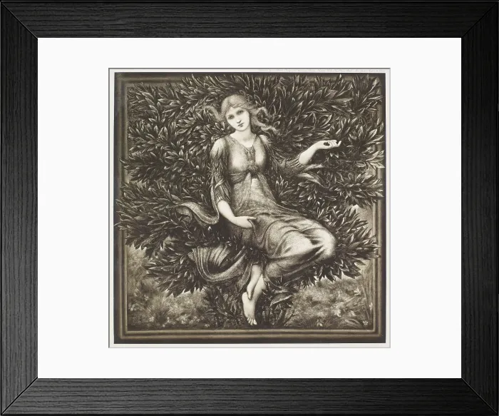 Framed Print : A wood Nymph, c1880s, (1900). Creator: Unknown Framed Print : A wood Nymph, c1880s, (1900). Creator: Unknown
