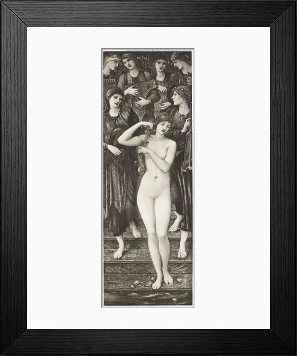 Framed Print : The Bath of Venus, c1870s, (1900). Creator: Unknown Framed Print : The Bath of Venus, c1870s, (1900). Creator: Unknown