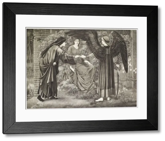 Framed Print : The Heart of the Rose, c1870s, (1900). Creator: Unknown Framed Print : The Heart of the Rose, c1870s, (1900). Creator: Unknown