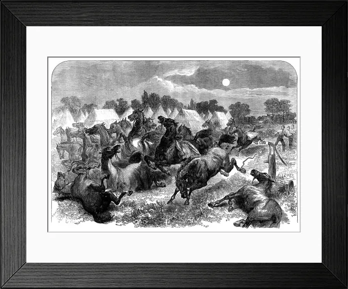 Framed Print : Stampede of cavalry horses at Aldershott Camp, 1871. Creator: Unknown Framed Print : Stampede of cavalry horses at Aldershott Camp, 1871. Creator: Unknown