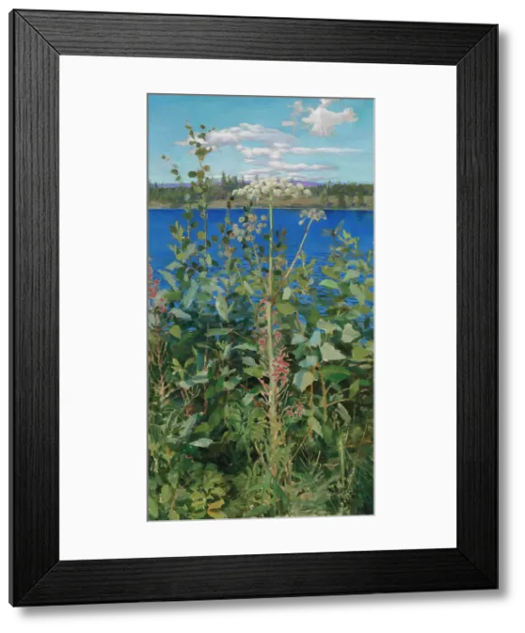 Framed Print : Wild Angelica, 1889. Creator: Akseli Gallen-Kallela Framed Print : Wild Angelica, 1889. Creator: Akseli Gallen-Kallela