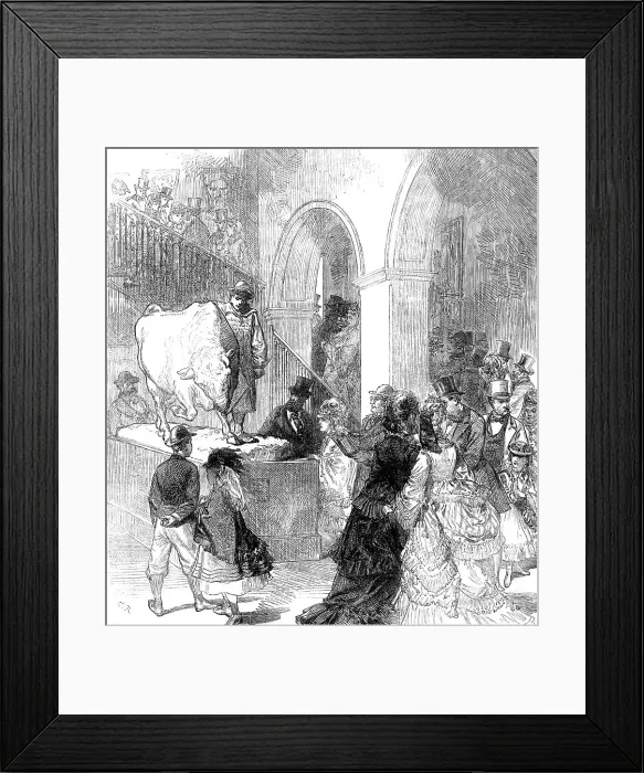 Framed Print : The International Exhibition: entrance to the English Picture Gallery, 1871. Creator: Unknown Framed Print : The International Exhibition: entrance to the English Picture Gallery, 1871. Creator: Unknown
