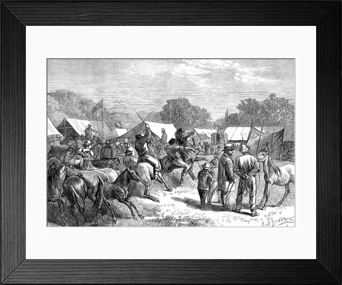Framed Print : Pony Fair in the New Forest, 1871. Creator: Unknown Framed Print : Pony Fair in the New Forest, 1871. Creator: Unknown