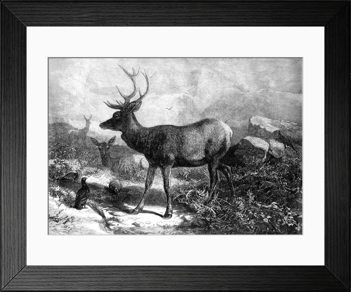 Framed Print : The Months: August, 1871. Creator: William James Palmer Framed Print : The Months: August, 1871. Creator: William James Palmer