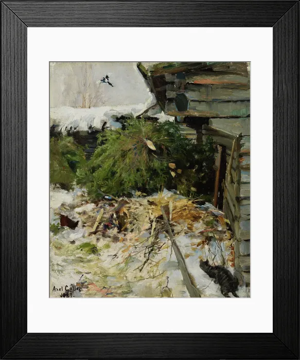 Framed Print : Spruces in a Farmyard, 1887. Creator: Akseli Gallen-Kallela Framed Print : Spruces in a Farmyard, 1887. Creator: Akseli Gallen-Kallela