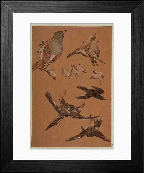 Framed Print : Love leading the Pilgrim - Study of Birds, Crows, Kingfishers, and Sparrows, 1877-97. Creator: Sir Edward Coley Burne-Jones Framed Print : Love leading the Pilgrim - Study of Birds, Crows, Kingfishers, and Sparrows, 1877-97. Creator: Sir Edward Coley Burne-Jones