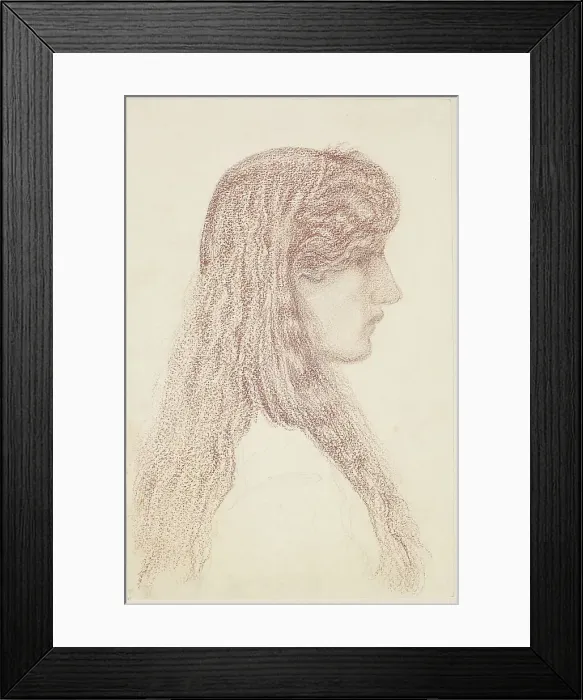 Framed Print : Maria Zambaco - Profile Study, 1866. Creator: Sir Edward Coley Burne-Jones Framed Print : Maria Zambaco - Profile Study, 1866. Creator: Sir Edward Coley Burne-Jones
