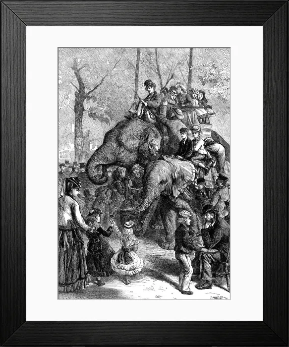 Framed Print : Monday afternoon at the Zoological Society's Gardens, 1871. Creator: Unknown Framed Print : Monday afternoon at the Zoological Society's Gardens, 1871. Creator: Unknown