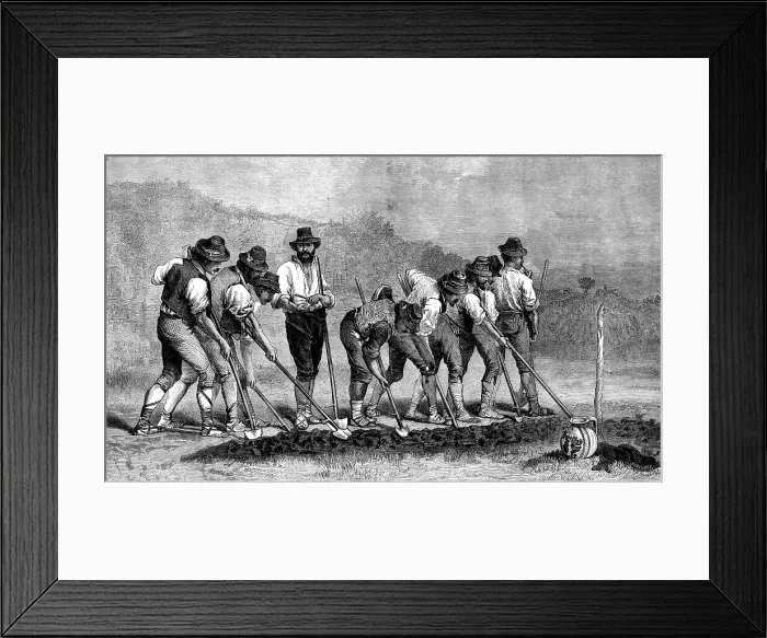 Framed Print : Field Labourers, by A. Hennebicq, in the International Exhibition, 1871. Creator: W Hollidge Framed Print : Field Labourers, by A. Hennebicq, in the International Exhibition, 1871. Creator: W Hollidge