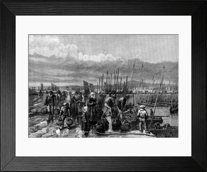 Framed Print : Sardine fishery on the coast of Brittany, 1871. Creator: Unknown Framed Print : Sardine fishery on the coast of Brittany, 1871. Creator: Unknown