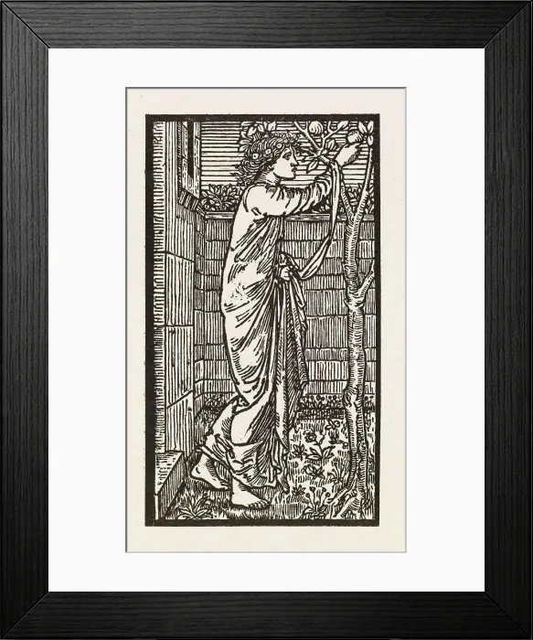 Framed Print : Cupid and Psyche - Psyche in Cupid's Garden, 1880. Creator: GF Campfield Framed Print : Cupid and Psyche - Psyche in Cupid's Garden, 1880. Creator: GF Campfield