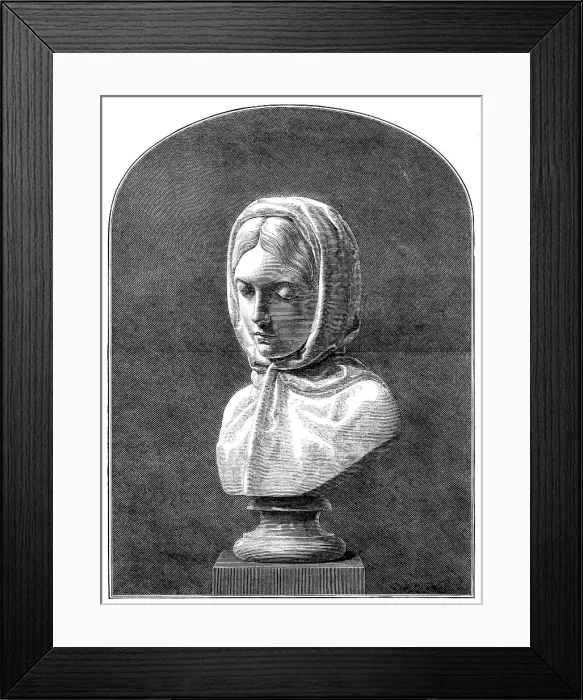 Framed Print : Adversity, by J. D. Crittenden, 1871. Creator: Unknown Framed Print : Adversity, by J. D. Crittenden, 1871. Creator: Unknown
