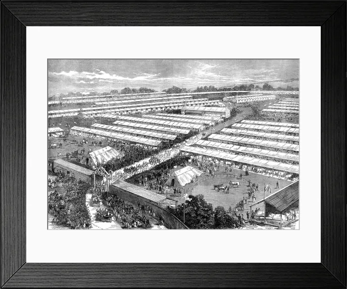 Framed Print : The Irish Royal Agricultural Society's Show at Dublin, 1871. Creator: Unknown Framed Print : The Irish Royal Agricultural Society's Show at Dublin, 1871. Creator: Unknown
