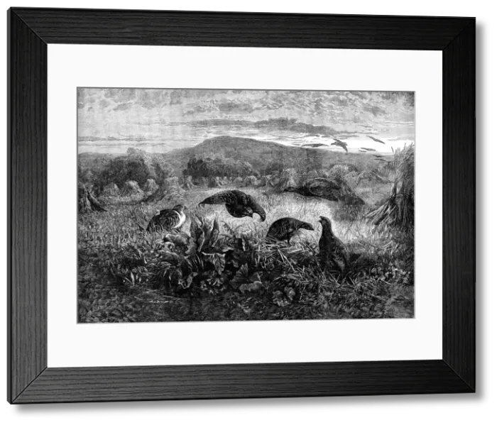 Framed Print : The Months: September, 1871. Creator: Horace Harral Framed Print : The Months: September, 1871. Creator: Horace Harral