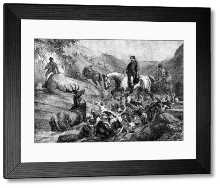 Framed Print : A Stag at Bay on Exmoor Forest, by S. Carter, 1871. Creator: J Greenaway Framed Print : A Stag at Bay on Exmoor Forest, by S. Carter, 1871. Creator: J Greenaway