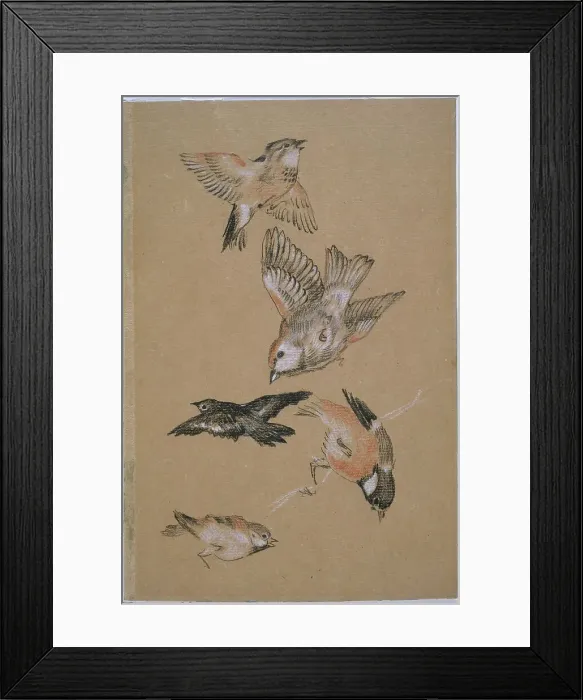 Framed Print : Love leading the Pilgrim - Study of Birds: Finches, 1897. Creator: Sir Edward Coley Burne-Jones Framed Print : Love leading the Pilgrim - Study of Birds: Finches, 1897. Creator: Sir Edward Coley Burne-Jones