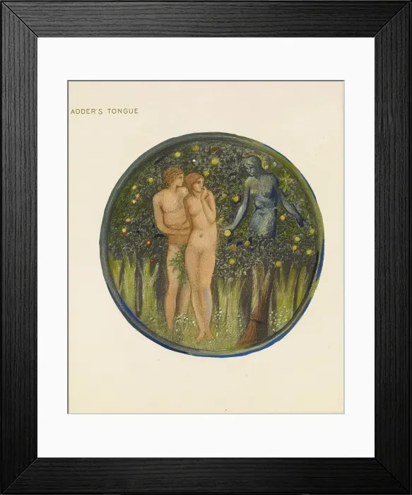 Framed Print : The Flower Book - Adder's Tongue, 1905. Creator: Sir Edward Coley Burne-Jones Framed Print : The Flower Book - Adder's Tongue, 1905. Creator: Sir Edward Coley Burne-Jones