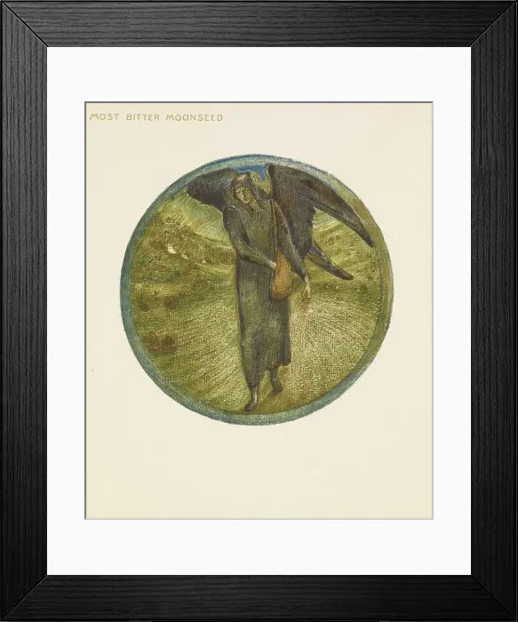 Framed Print : The Flower Book - Most Bitter Moonseed, 1905. Creator: Sir Edward Coley Burne-Jones Framed Print : The Flower Book - Most Bitter Moonseed, 1905. Creator: Sir Edward Coley Burne-Jones