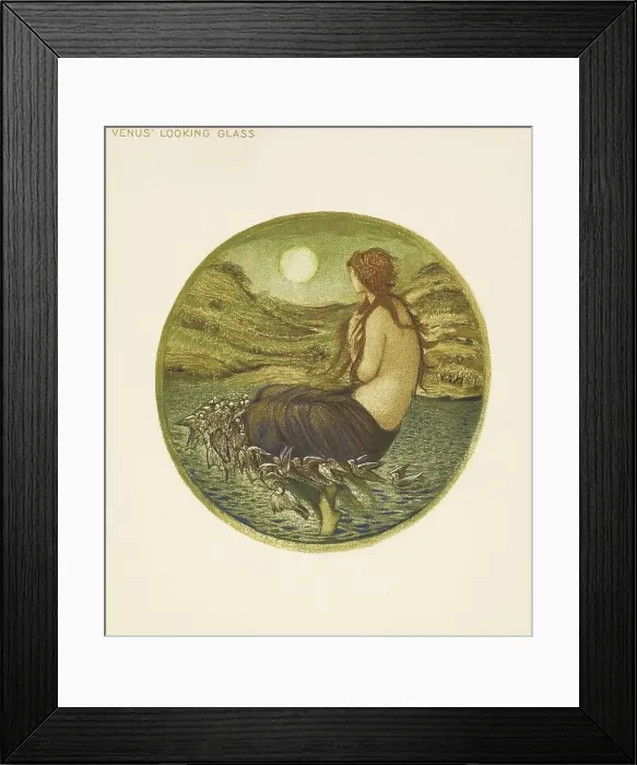 Framed Print : The Flower Book- Venus Looking Glass, 1905. Creator: Sir Edward Coley Burne-Jones Framed Print : The Flower Book- Venus Looking Glass, 1905. Creator: Sir Edward Coley Burne-Jones