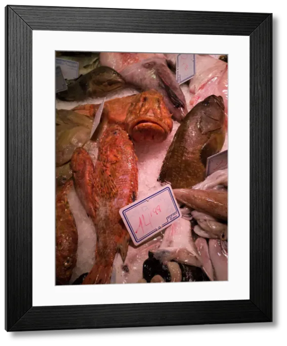 Framed Print : Fish at La Bouqueria, Barcelona, Spain, 2020. Creator: Ethel Davies Framed Print : Fish at La Bouqueria, Barcelona, Spain, 2020. Creator: Ethel Davies