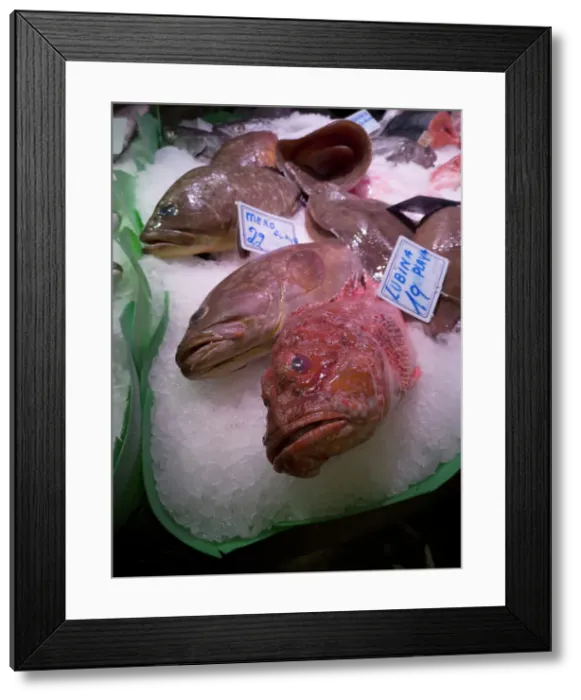 Framed Print : Fish at La Bouqueria, Barcelona, Spain, 2020. Creator: Ethel Davies Framed Print : Fish at La Bouqueria, Barcelona, Spain, 2020. Creator: Ethel Davies