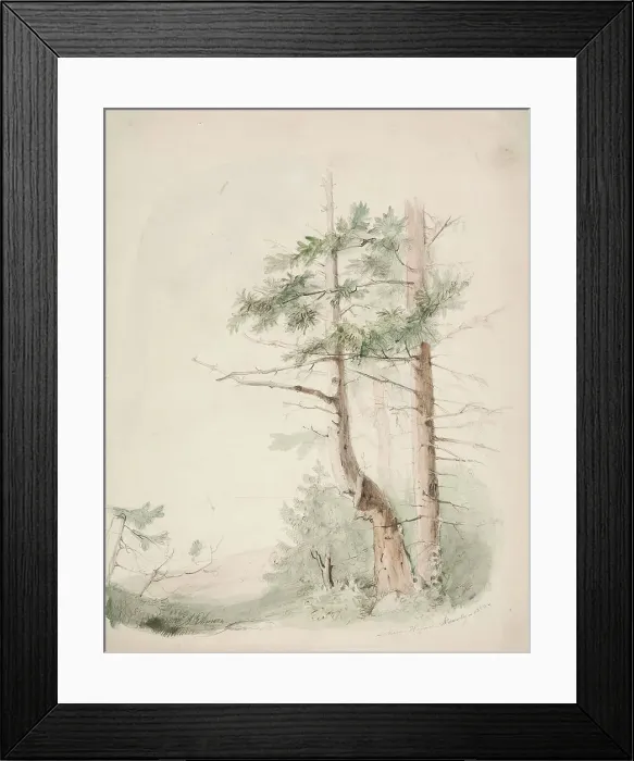 Framed Print : Seaside Landscape Nagu-Hafverö-Norrby, 1853. Creator: Karl Anders Ekman Framed Print : Seaside Landscape Nagu-Hafverö-Norrby, 1853. Creator: Karl Anders Ekman