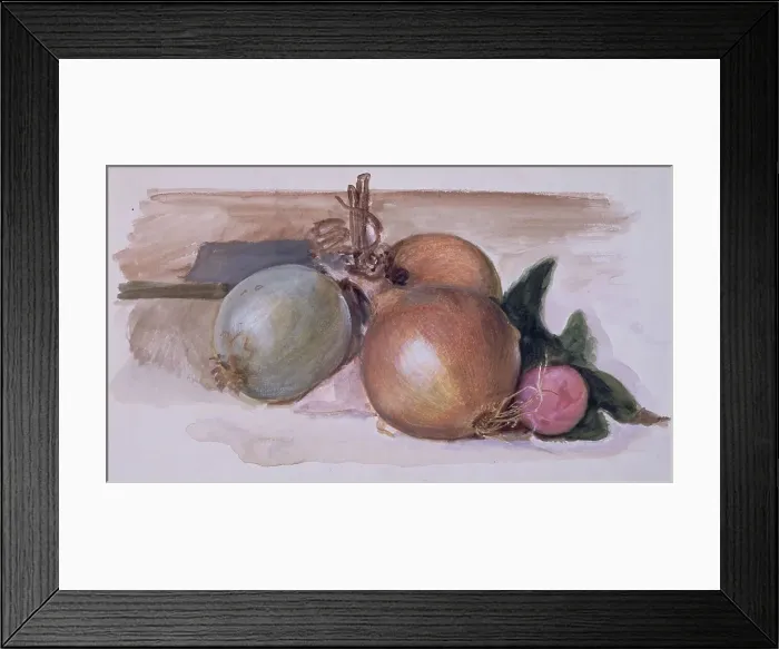 Framed Print : Still-Life - Study of Onions, 1871-75. Creator: Sir Edward Coley Burne-Jones Framed Print : Still-Life - Study of Onions, 1871-75. Creator: Sir Edward Coley Burne-Jones