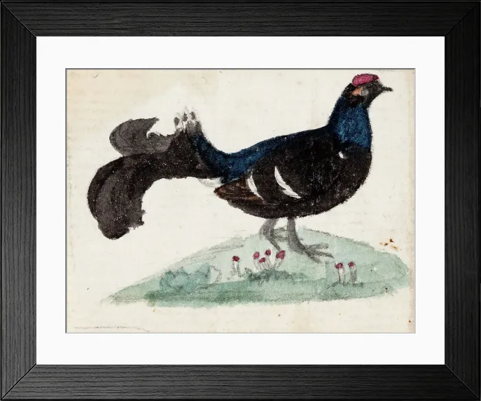Framed Print : Male Black Grouse, 1831. Creator: Ferdinand von Wright Framed Print : Male Black Grouse, 1831. Creator: Ferdinand von Wright