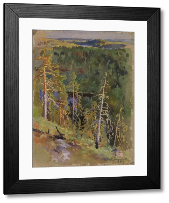 Framed Print : Forest Landscape, 1895. Creator: Eero Jarnefelt Framed Print : Forest Landscape, 1895. Creator: Eero Jarnefelt