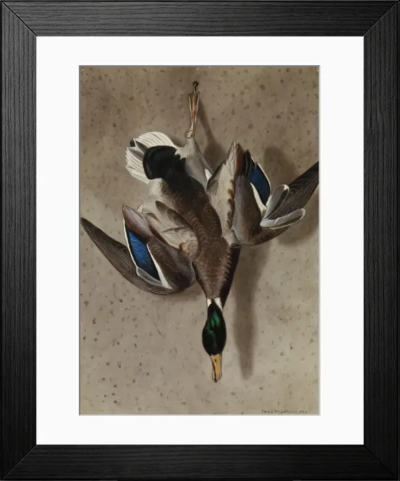 Framed Print : Hanging Mallard, 1834. Creator: Ferdinand von Wright Framed Print : Hanging Mallard, 1834. Creator: Ferdinand von Wright