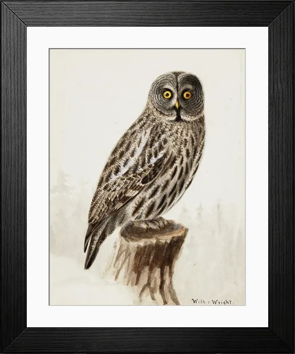 Framed Print : Great Grey Owl, 1830-1870. Creator: Wilhelm von Wright Framed Print : Great Grey Owl, 1830-1870. Creator: Wilhelm von Wright