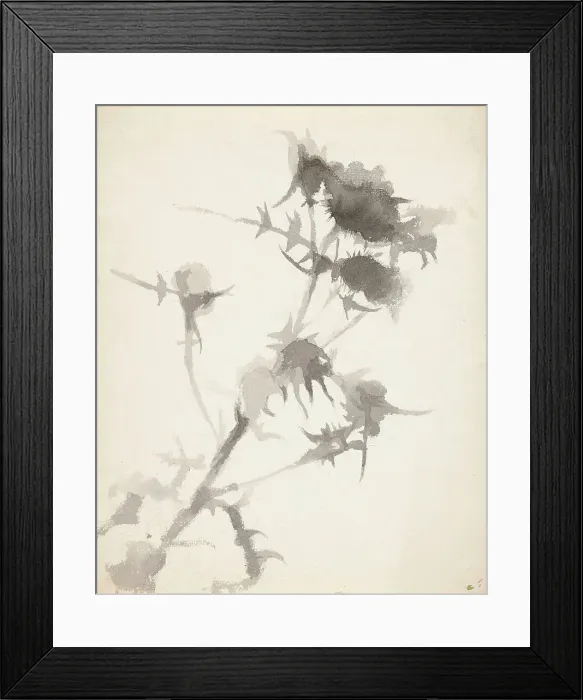 Framed Print : Thistles. Creator: Maria Wiik Framed Print : Thistles. Creator: Maria Wiik