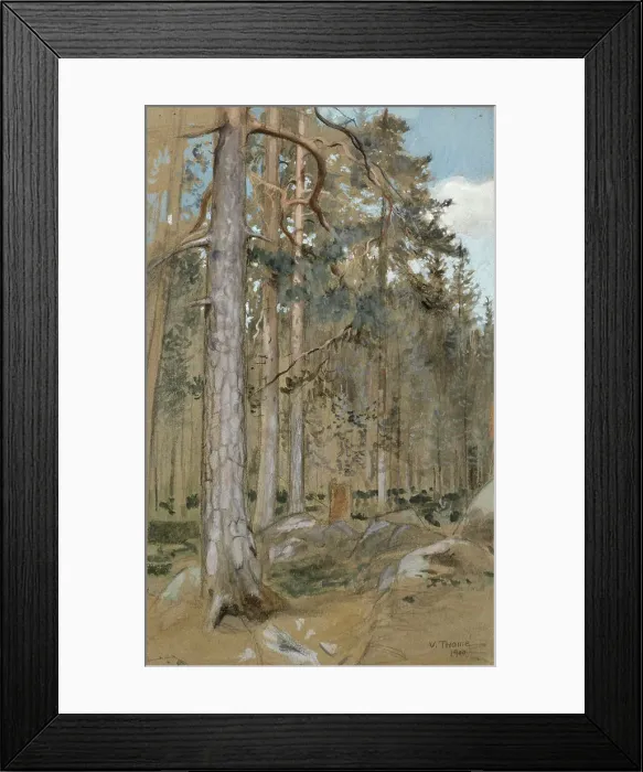 Framed Print : Pine forest, 1900. Creator: Verner Thome Framed Print : Pine forest, 1900. Creator: Verner Thome