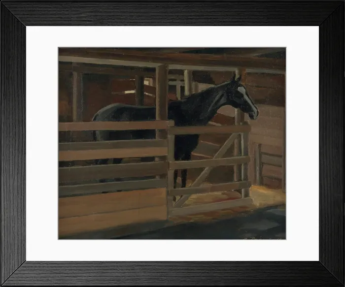 Framed Print : Jallu the black horse in his stall, 1929. Creator: Alexander Paischeff Framed Print : Jallu the black horse in his stall, 1929. Creator: Alexander Paischeff