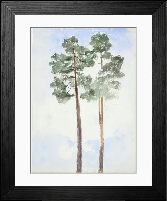 Framed Print : Two pine trees. Creator: Maria Wiik Framed Print : Two pine trees. Creator: Maria Wiik